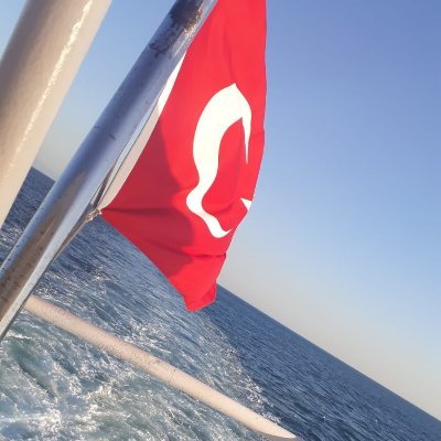 Busra26Ayhan's profile picture. 