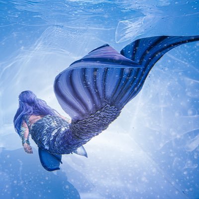 日本人魚会 ９月17日 Japan Mermaid Twitter