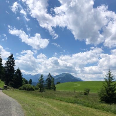 chrisFrankf's profile picture. 