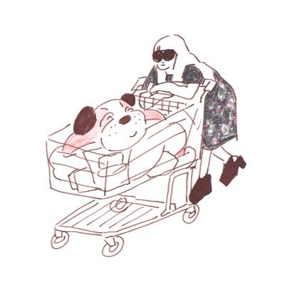 現像したい、撮り終わってないけど