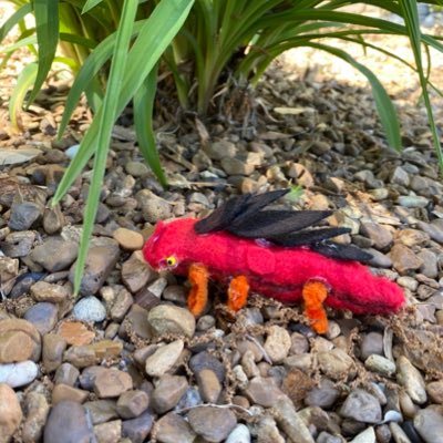 lori85262636's profile picture. K teacher/mom