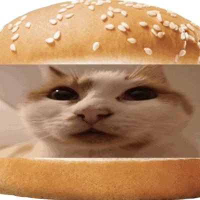 robooz2's profile picture. h