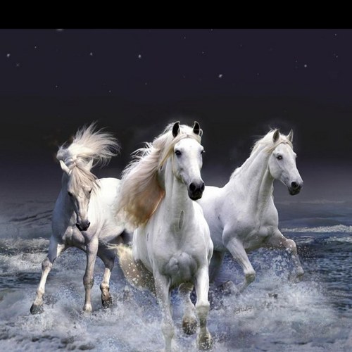 milae1950's profile picture. 