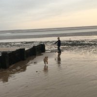 H. PhD (@stoofer2) 's Twitter Profile