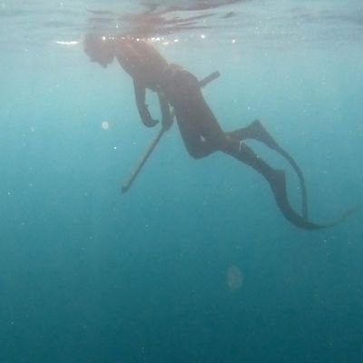 chakibochakib's profile picture. DZ