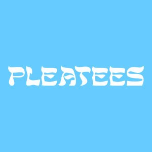 Pleatees is a creative concept bridging the gap between subculture and terrace casual wear blah blah blah it’s t-shirts. 𝕮𝕺𝕸𝕰 𝕺𝕹 𝖄𝕺𝖀 𝕾𝕻𝖀𝕽𝕾!