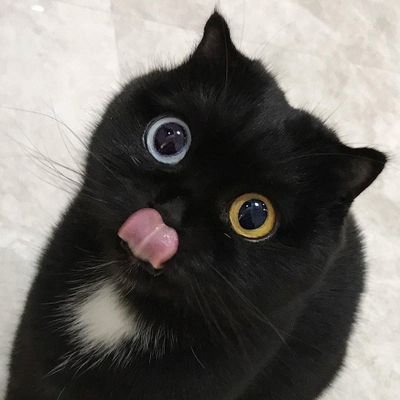 @downdownlove