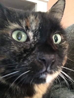 JSVT143's profile picture. 