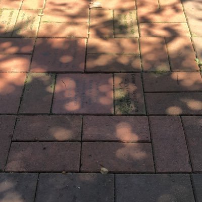 lovepublicplay's profile picture. 