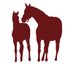 Haras de Castillon (@castillon_haras) Twitter profile photo Haras de Castillon (@castillon_haras) Twitter profile photo