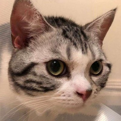 4h0Un10ML93uIWo's profile picture. 