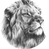 Nawaf (@nawaf_l72) 's Twitter Profile