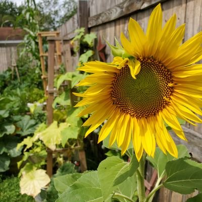 nhansen_live's profile picture. .