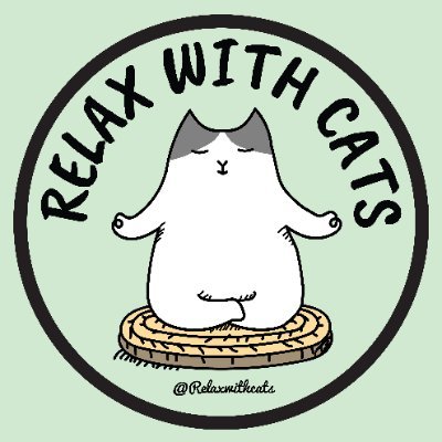 Life is stressful, that's why you need Cats to Relax  🐱🧘