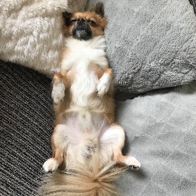 SamanthaKerrig7's profile picture. My children