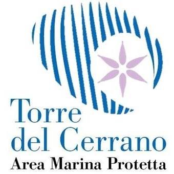 L'Area Marina Protetta Torre del Cerrano si trova tra i Comuni di Pineto e Silvi in provincia di Teramo, in Abruzzo.