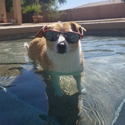 GreatWhitePT's profile picture. Dr of PT,  if you need to look at my profile to add to your argument, you probably already lost.