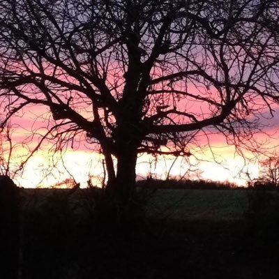 MP57848311's profile picture. 