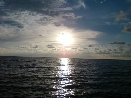 alle_me_myself's profile picture. Burn Down Imperialism !!