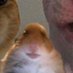 will (@playerbman) Twitter profile photo will (@playerbman) Twitter profile photo