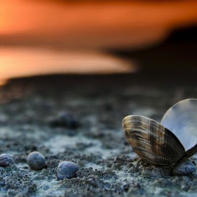 wqzNaFBHfvNQsEe's profile picture. سبحان الله العظيم