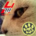 samuraicat12