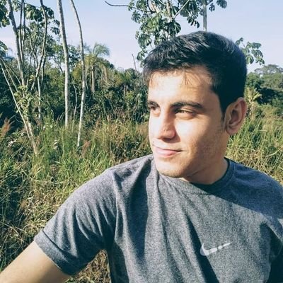 ViniLsilva_'s profile picture. Só aleatoriedades, curte um futebol e F1 (não é o que você tá pensando)