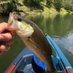 Alabama Kayak Fishing (@alabamakayak) Twitter profile photo Alabama Kayak Fishing (@alabamakayak) Twitter profile photo