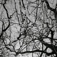 Neurobiology & Genetics Group, UPM (@nbggupm) 's Twitter Profile Photo