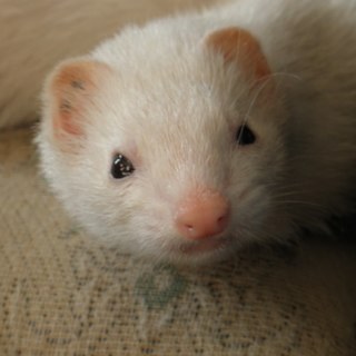 easterSunday01's profile picture. ディベート、ESS、現在横浜にて勤務、。   好き》カフェ、美味しい物、旅行