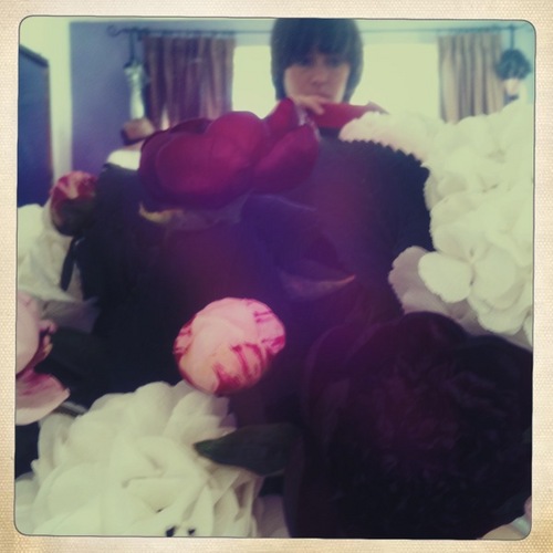 missceciliafox's profile picture. flowering melbourne