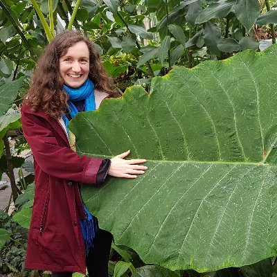Tree tubes & climate extremes 🌳| Art, words & nature | Postdoc @EPFL+@WSL_research | Fulbright '21/22 | @MSCActions '24 | co-manager @ThatsScienceTAS | she/her
