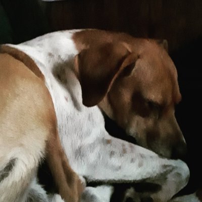 Quentin28347764's profile picture. 