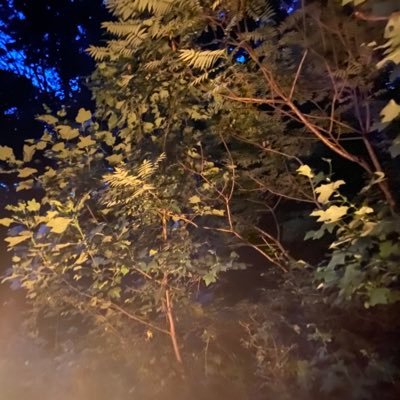 gnarbohydrates's profile picture. A being with a broken compass, ———-You can go and get lost ——————-//You hearing your own talking points —-But you don’t know the cost