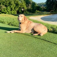 JT Hauser (@iowaturf) 's Twitter Profile Photo