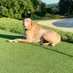 JT Hauser (@iowaturf) Twitter profile photo JT Hauser (@iowaturf) Twitter profile photo