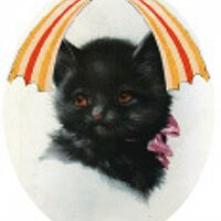 beci orpin (@beciorpin) 's Twitter Profile
