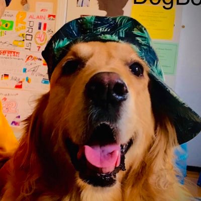 I am a youtuber that makes cool videos with my dog and her friends. If you want to watch my videos you can go on YouTube and search my channel GucciDogBoi. 🐶