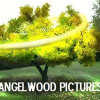 Angelwood Pictures (@angelwoodp) 's Twitter Profile Photo Angelwood Pictures (@angelwoodp) 's Twitter Profile Photo