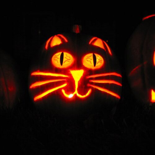 mergeree's profile picture. 미련이 남아 외쳐대는 잔소리, 헛소리들
주절주절대는 하루살이
스탈린과 알튀세르사이 어딘가에 서 있는 자