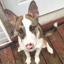 Willow Taylor - @WillowT86974215 - Twitter