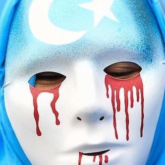 AAA111systemdev's profile picture. 