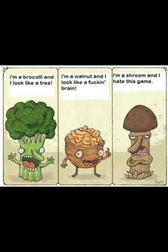 REAL FACTS AND AMAZING I MAY NOT FOLLOW BACK BUT I WILL JUST SEND ME A DIRECT MESSAGE:D