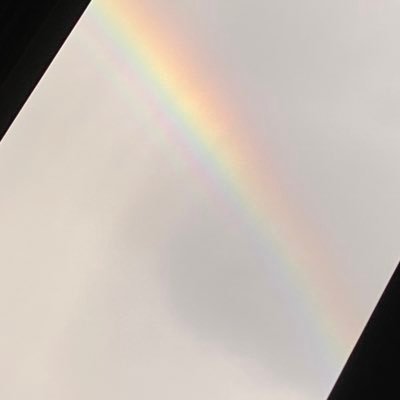 tanvelickovski's profile picture. i enjoy acid pops.