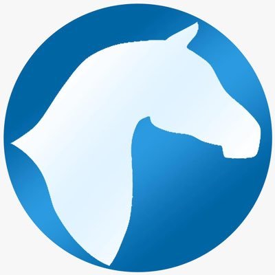 Horselife.es Profile