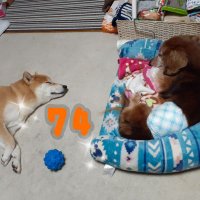 kana*74 (@kanawasamasa) 's Twitter Profile Photo kana*74 (@kanawasamasa) 's Twitter Profile Photo