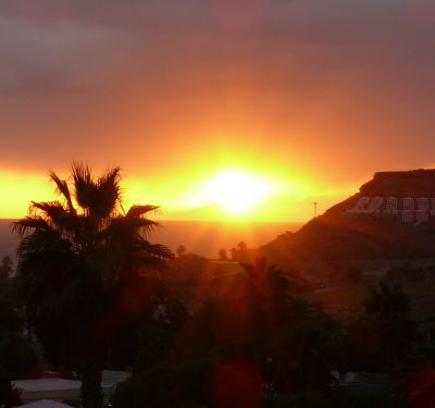 InfoGranCanaria's profile picture. Home Team Gran Canaria Real Estate Services, PropertyBusiness , #hometeamgc #hometeamgrancanaria #grancanaria #realestategc #inmobiliaria #propertybusinessgc