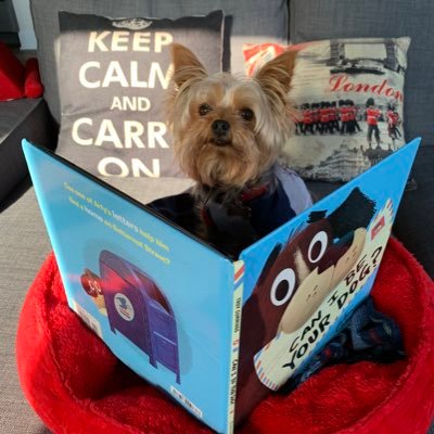 Soochow13's profile picture. Handsome, spoiled Yorkie who pees for treats.