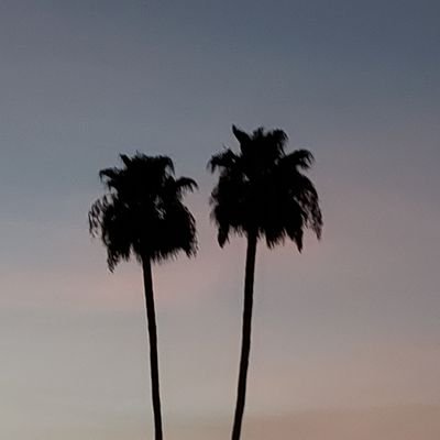 dumptruck52's profile picture. 