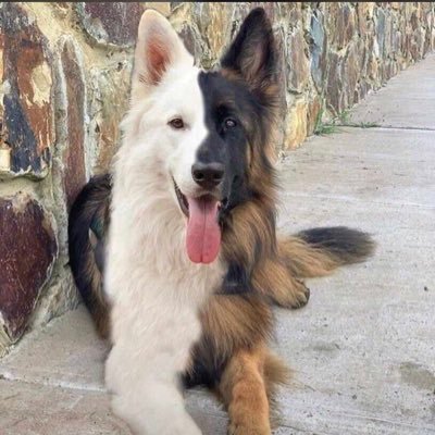 Florence3611's profile picture. 